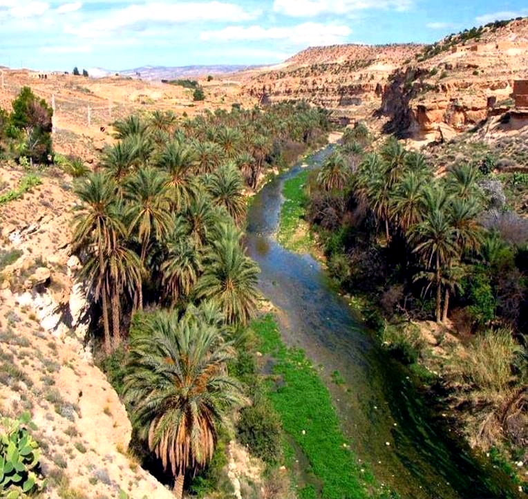 Visiter Biskra : Les Endroits Enchanteurs à Découvrir à Proximité