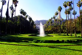 Alger : Le Jardin d'Essai du Hamma, oasis de verdure au cœur de la capitale