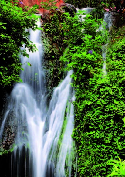 Tlemcen : Le Parc National et les cascades de El Ourit, nature préservée